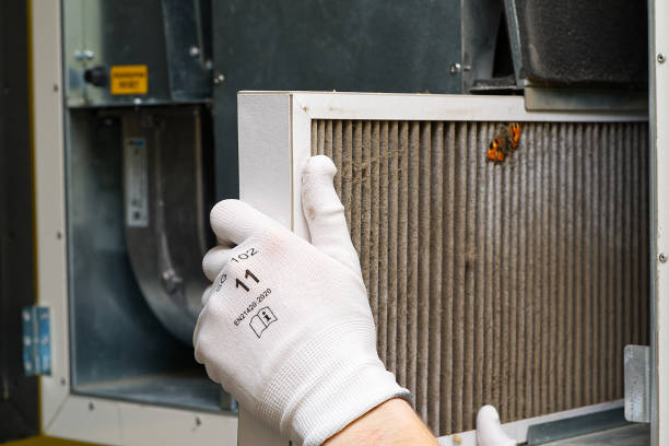 Best Home Air Vent Cleaning  in Villas, FL